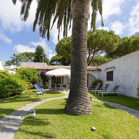 Villetta Con Giardino Esclusivo Di 1000 Mq, Piscina, Tennis, Calcio, Bocce Forio di Ischia Exterior foto